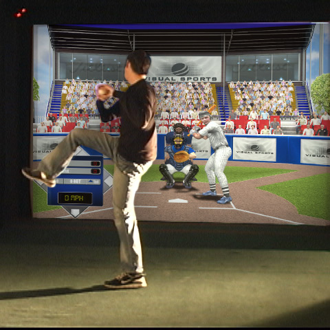 Baseball simulator picture
