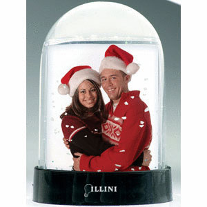 photo snow globe frame